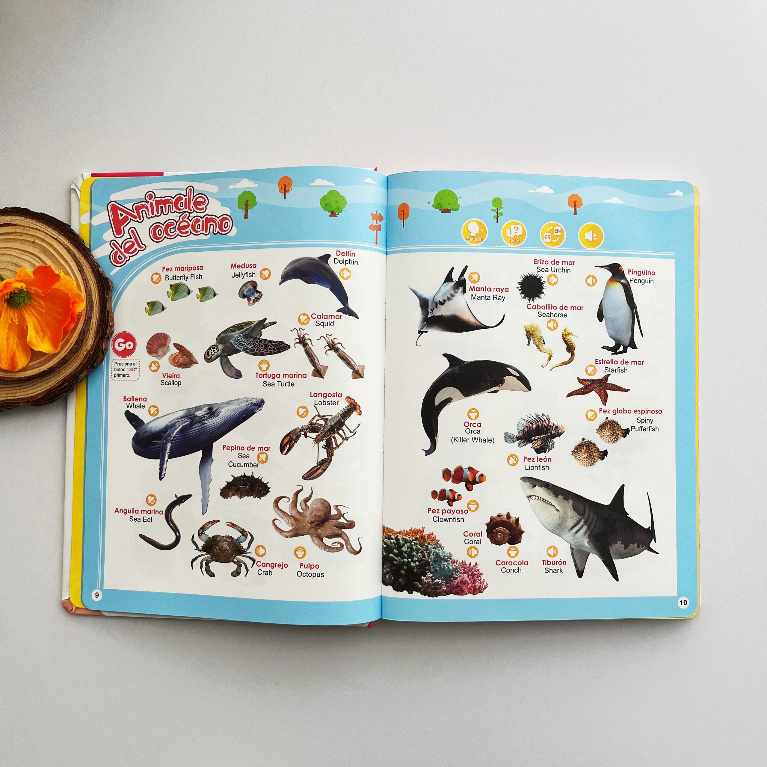 Libro Sonoro Bilingüe Español-Inglés para Niños 1-6 Años, 300+ Palabras y 13 Temas, Juguete Educativo con Canciones, Animales, Piano Infantil y Alfabeto edutoys - Image 7