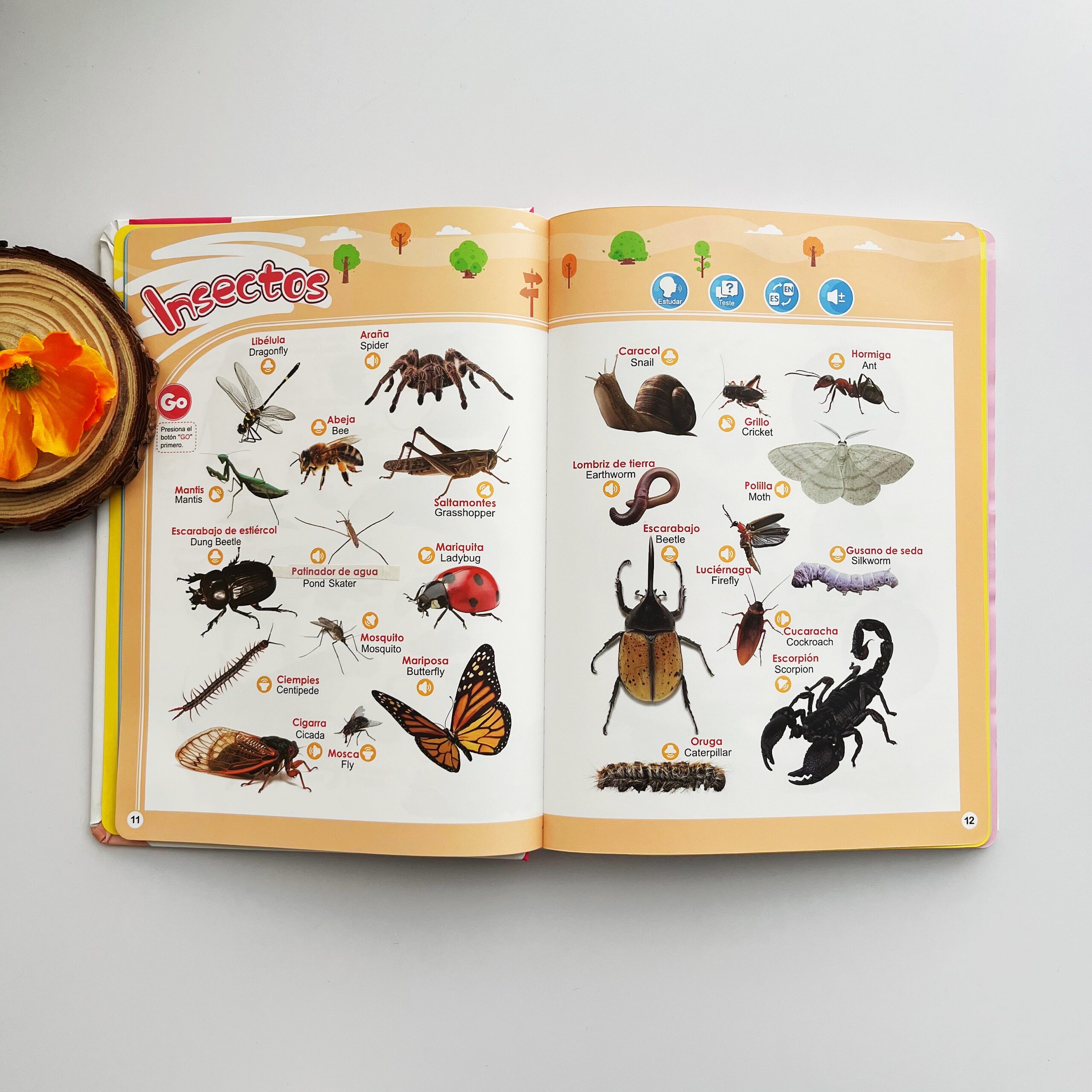 Libro Sonoro Bilingüe Español-Inglés para Niños 1-6 Años, 300+ Palabras y 13 Temas, Juguete Educativo con Canciones, Animales, Piano Infantil y Alfabeto edutoys - Image 8